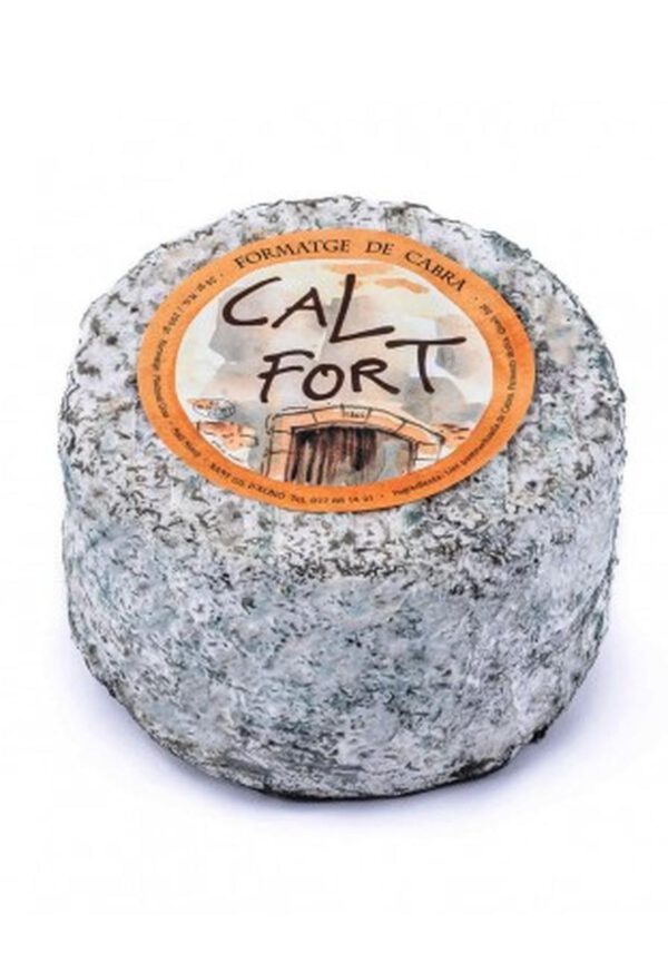 Ser CAL FORT Sant Gil d Albio Cal Fort
